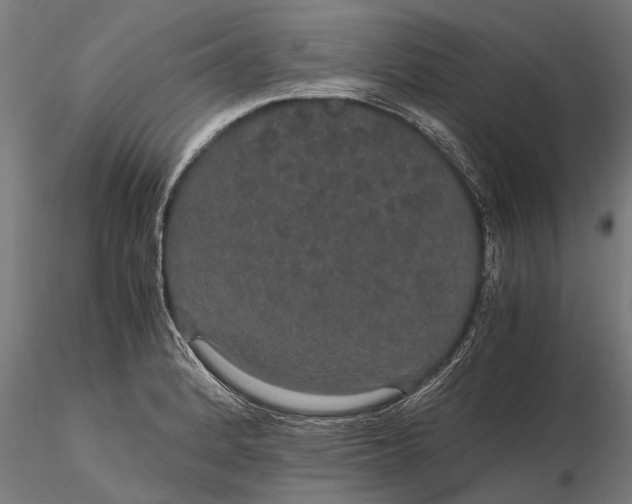 X0000116121184200912141038