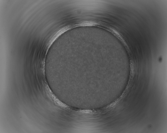 X0000116121186200912141038