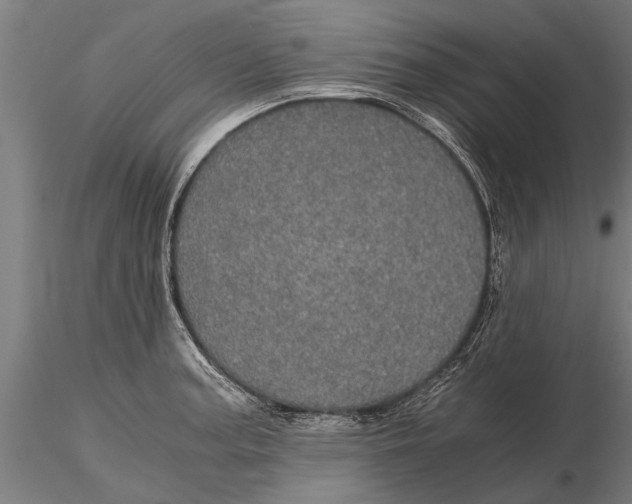 X0000116121187200912141038