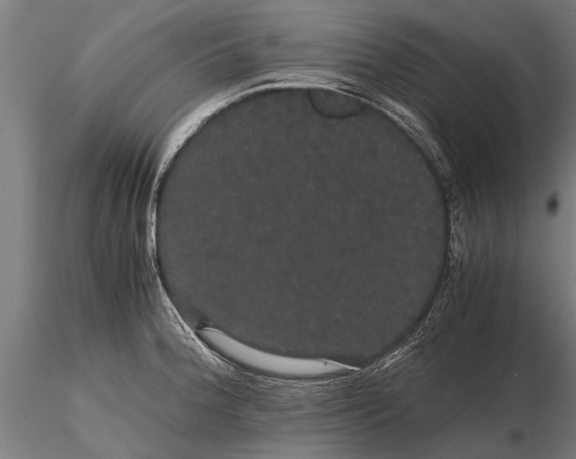 X0000116121188200912141038