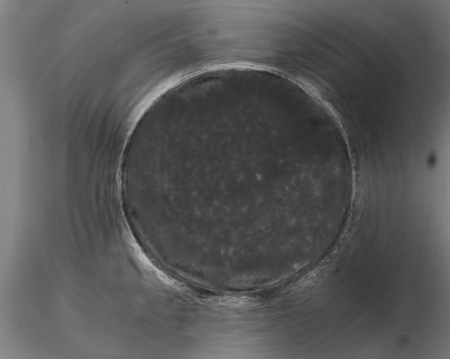 X0000116121189200912141038