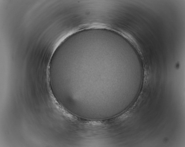 X0000116121190200912141038