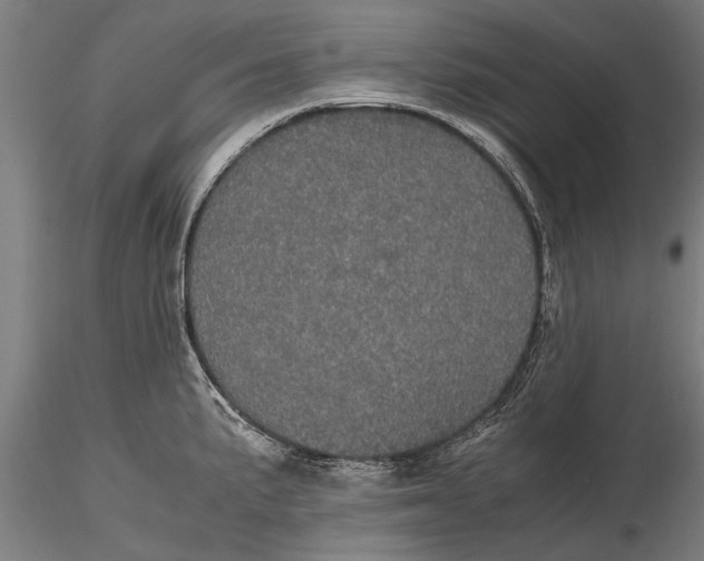 X0000116121191200912141038