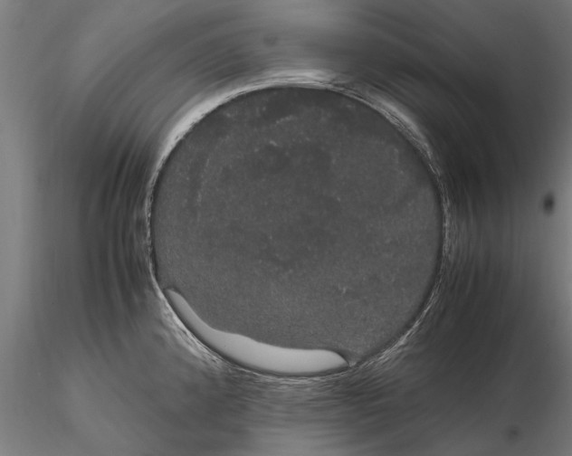 X0000116121192200912141038