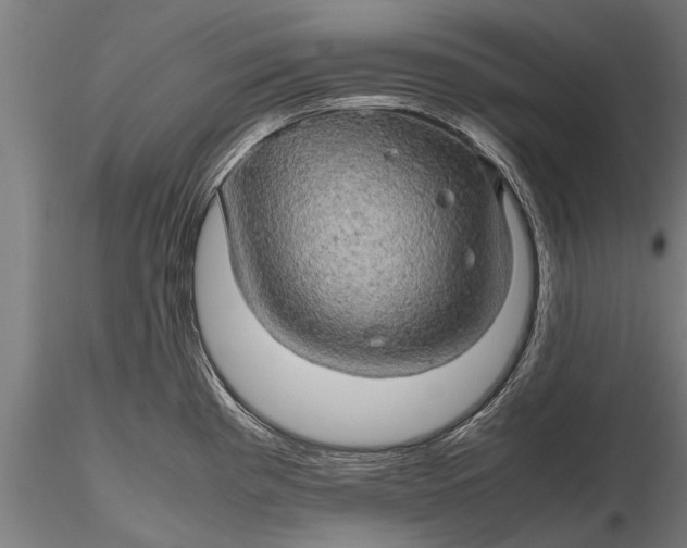 X0000116121193200912141038