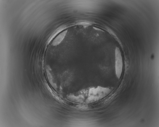 X0000116121194200912141038