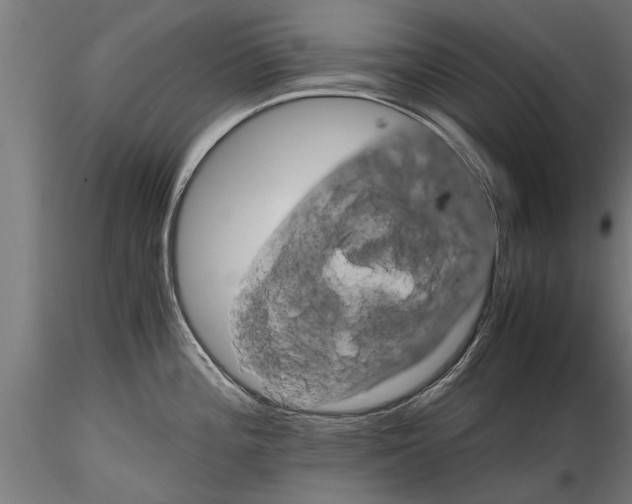 X0000116121196200912141038