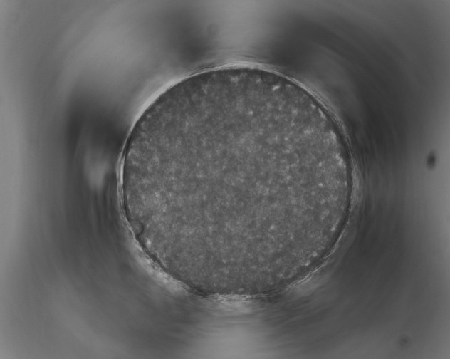 X0000116121198200912141038