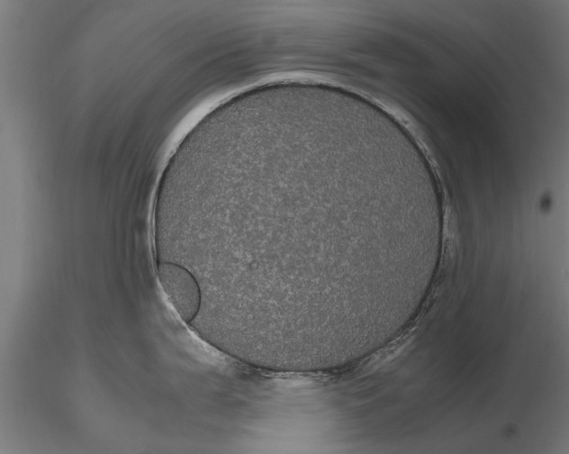 X0000116121199200912141038