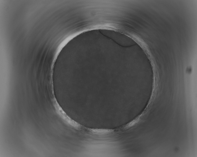 X0000116121200200912141038