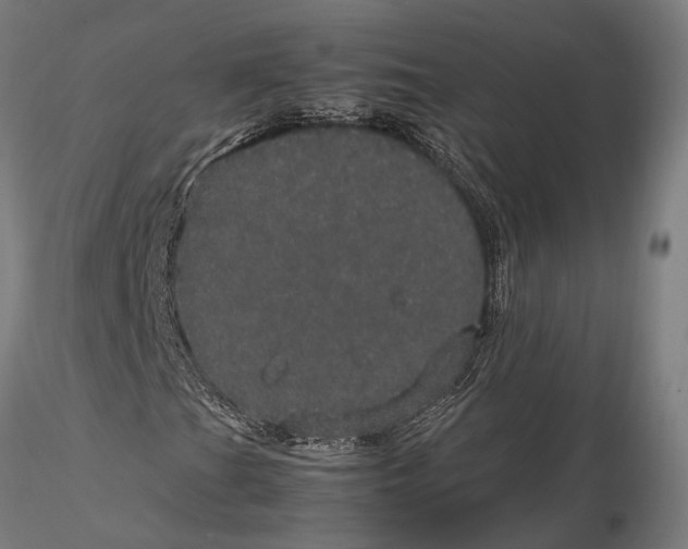 X0000116121201200912141037