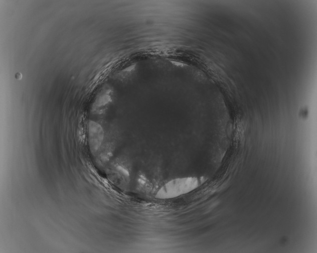 X0000116121202200912141037