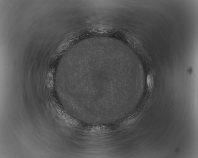 X0000116121203200912141037