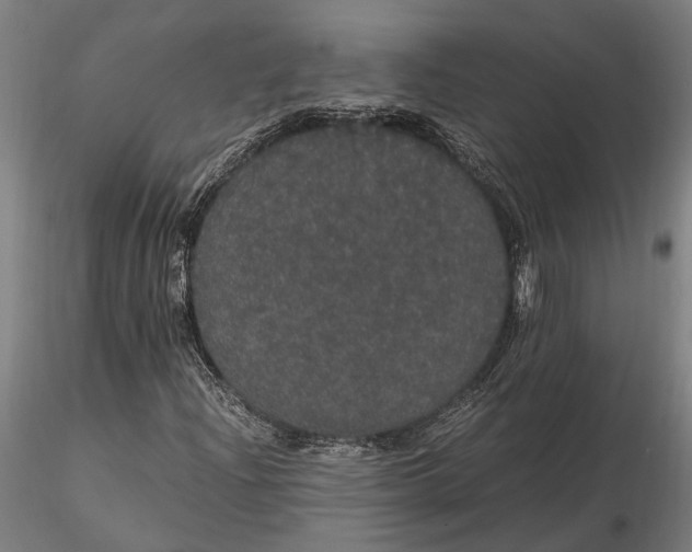 X0000116121204200912141037