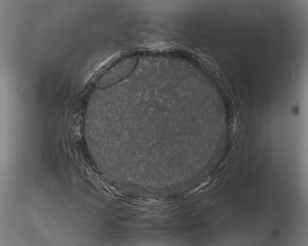 X0000116121205200912141037