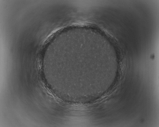 X0000116121206200912141037