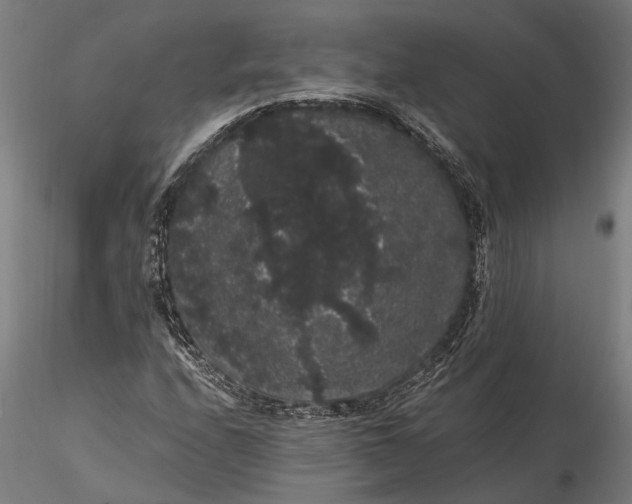 X0000116121208200912141037