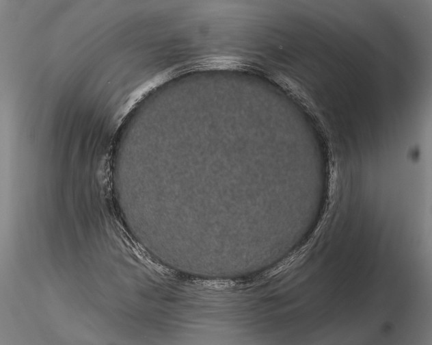 X0000116121210200912141037