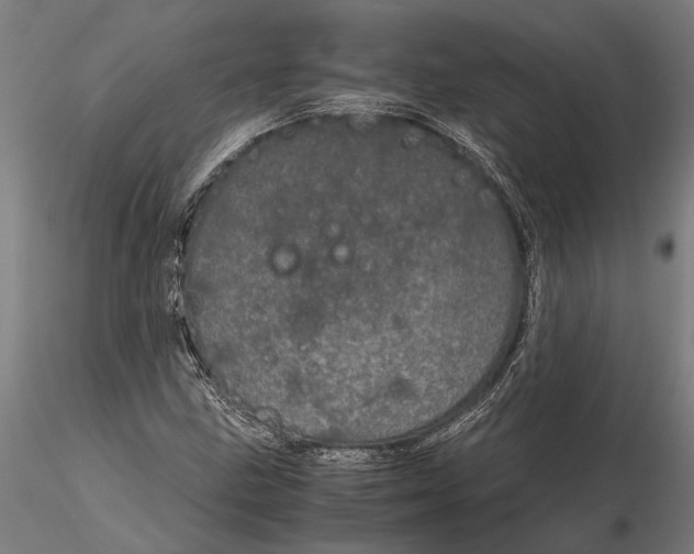 X0000116121211200912141037