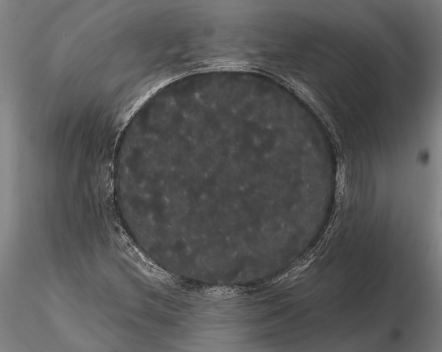 X0000116121212200912141037