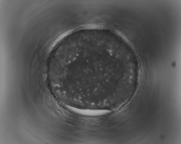 X0000116121213200912141037