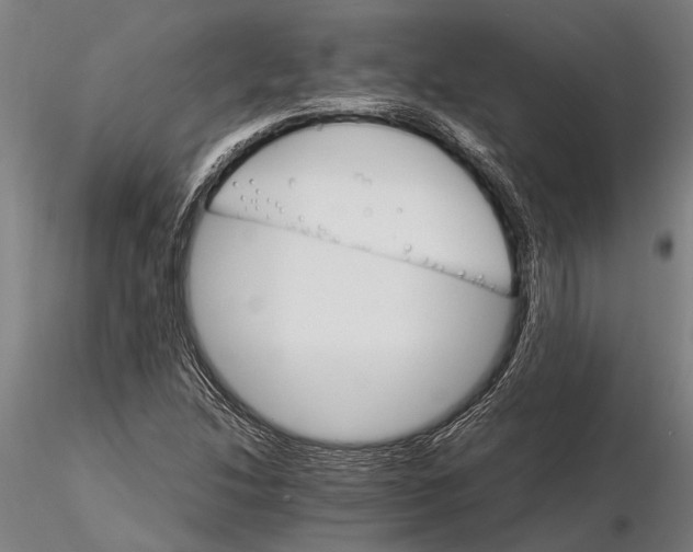 X0000116121214200912141037