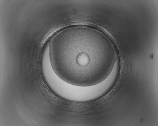 X0000116121215200912141037