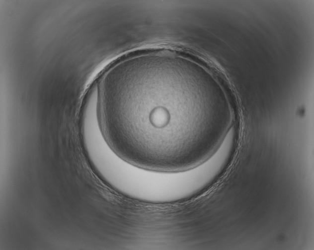 X0000116121216200912141037