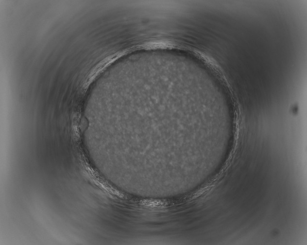 X0000116121217200912141037