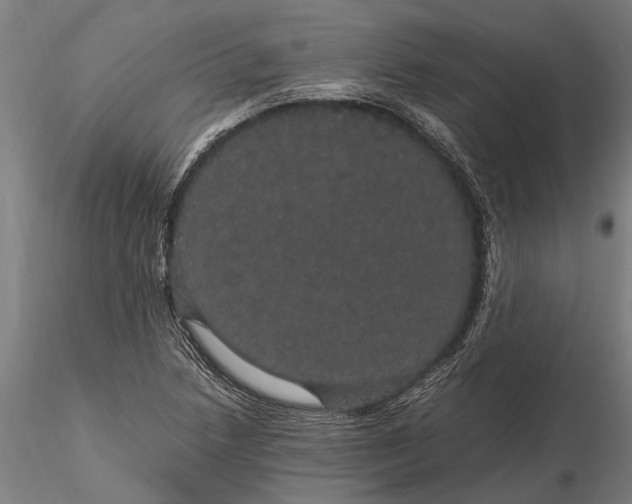 X0000116121218200912141037