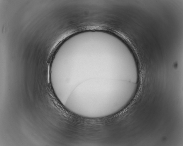 X0000116121219200912141037