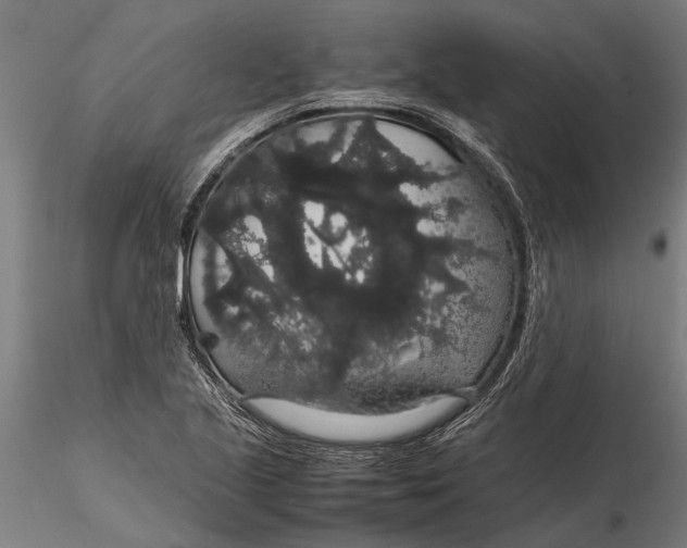 X0000116121221200912141037