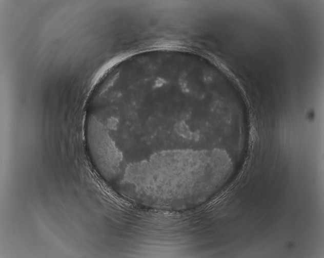 X0000116121222200912141037