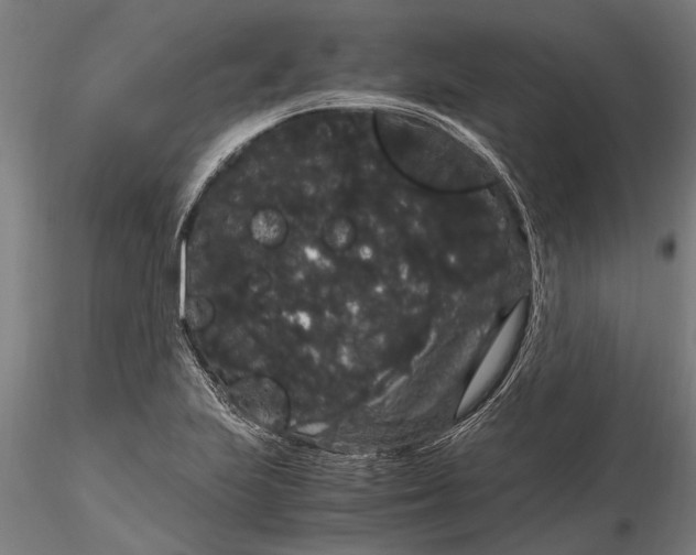 X0000116121223200912141037