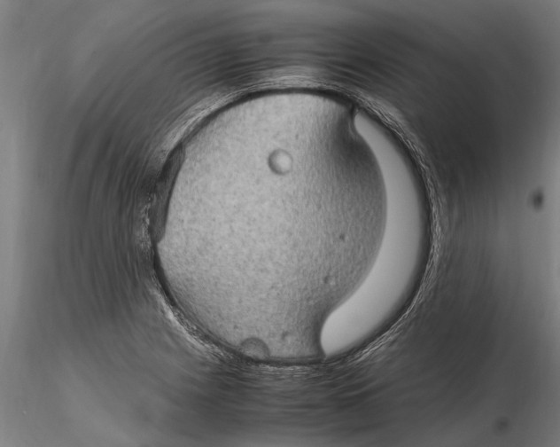 X0000116121225200912141037