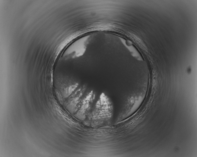 X0000116121226200912141037