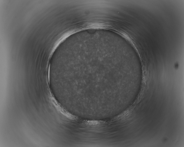 X0000116121227200912141037