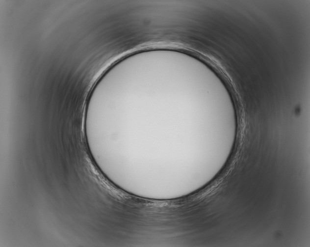 X0000116121228200912141037