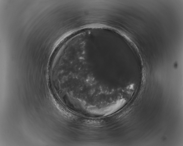 X0000116121229200912141037