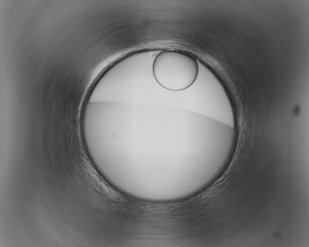 X0000116121230200912141037