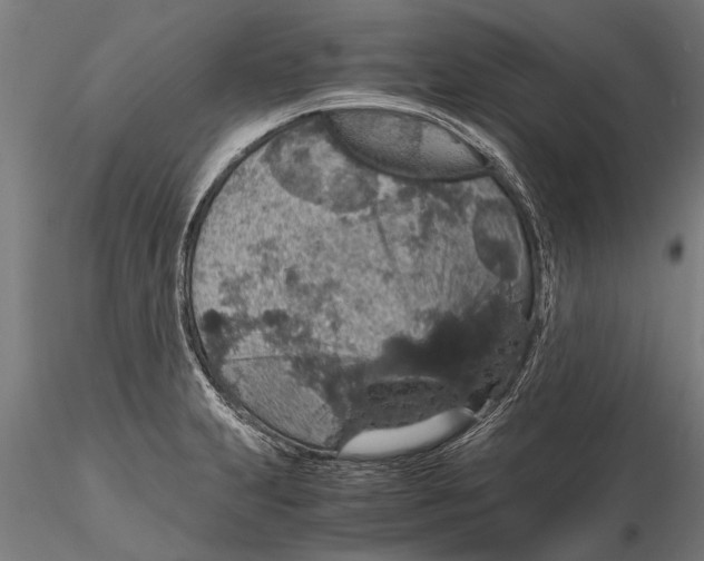 X0000116121231200912141037