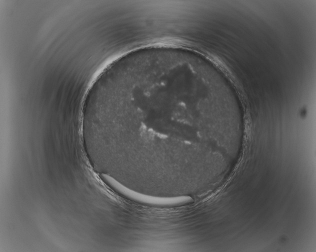 X0000116121232200912141037