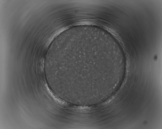 X0000116121233200912141037