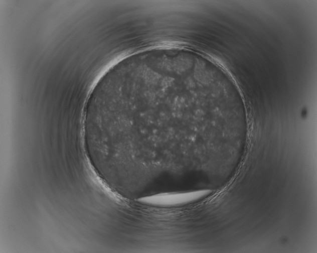 X0000116121235200912141037