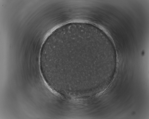 X0000116121237200912141037