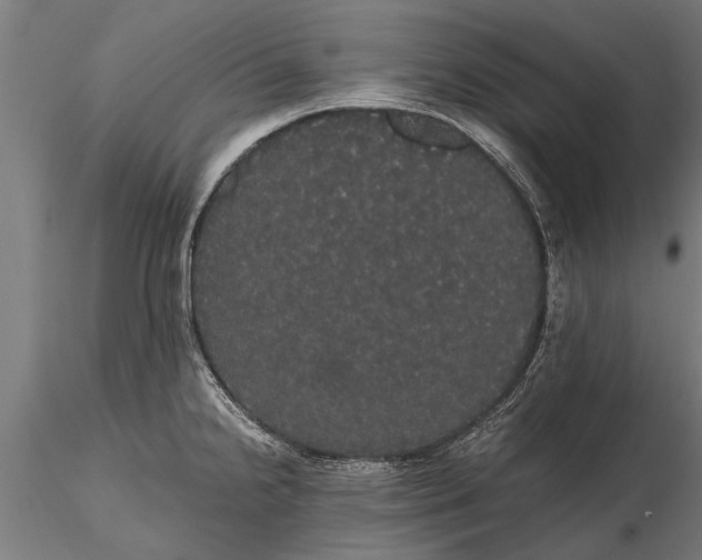 X0000116121238200912141037