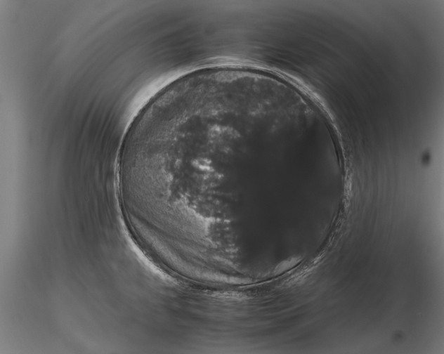 X0000116121239200912141037