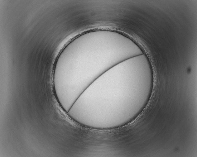 X0000116121240200912141037