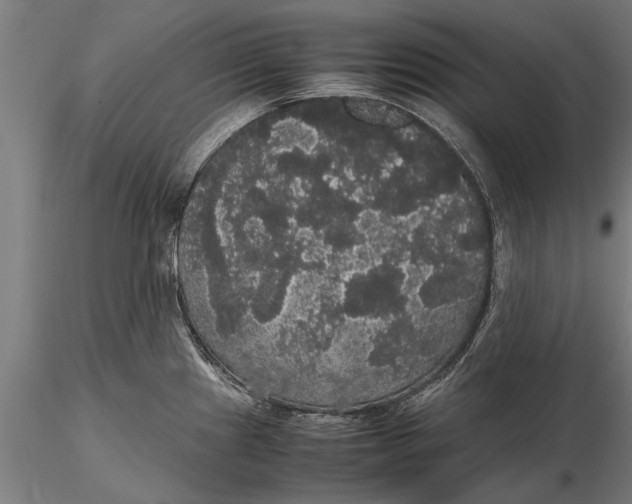 X0000116121241200912141037