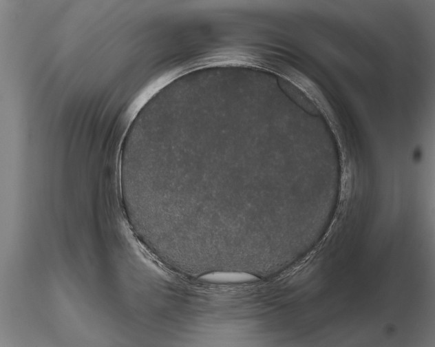 X0000116121242200912141037